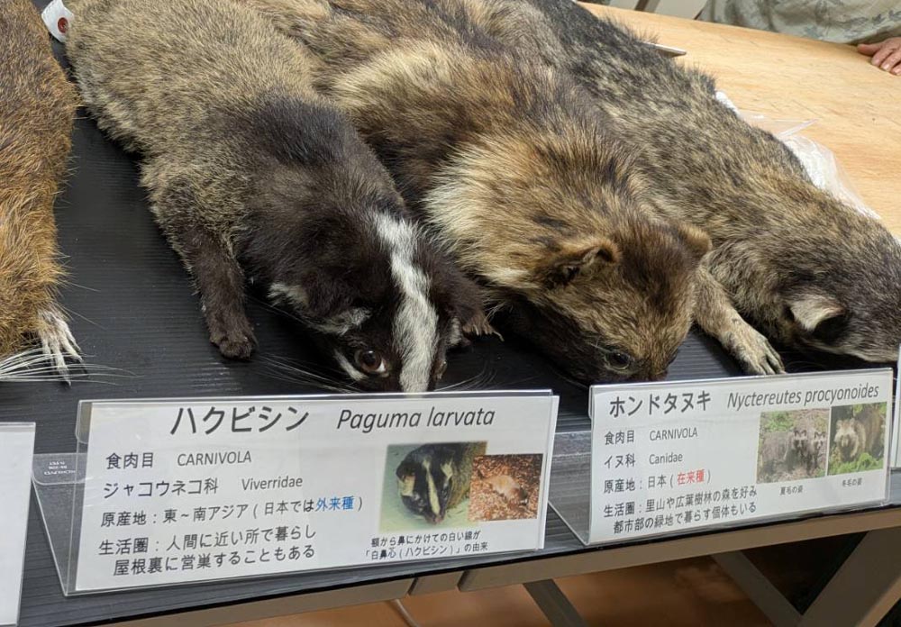 伊吹嶺 環境コーナー2